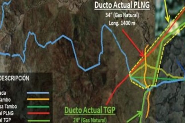 Consultoria Especialista Gas Natural Petróleo y Energía