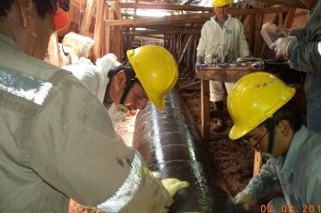 Consultoria Especialista Gas Natural Petróleo y Energía